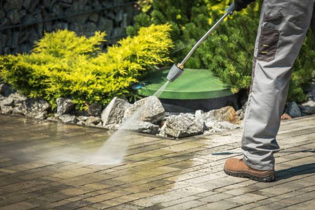 Best Winterizing Services  in Taylors, SC