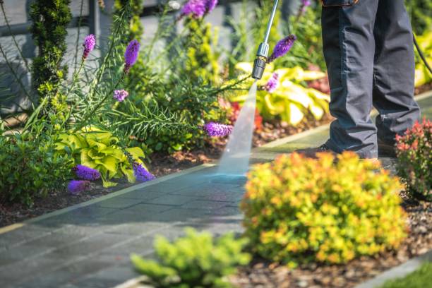 Best Sidewalk and Walkway Cleaning  in Taylors, SC